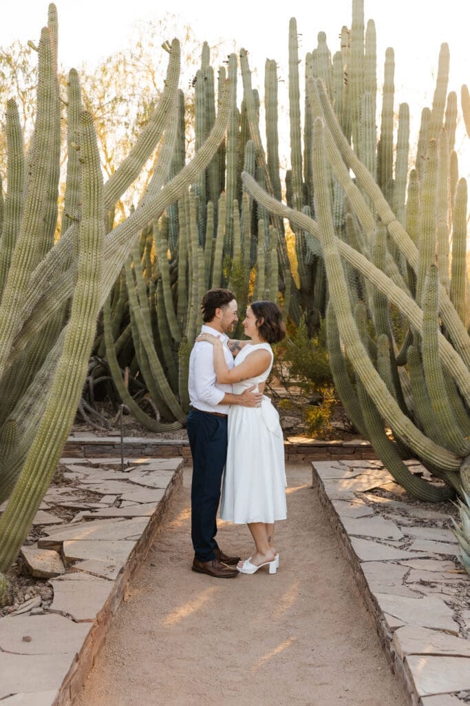Engagement portraits under intertwining cacti. 