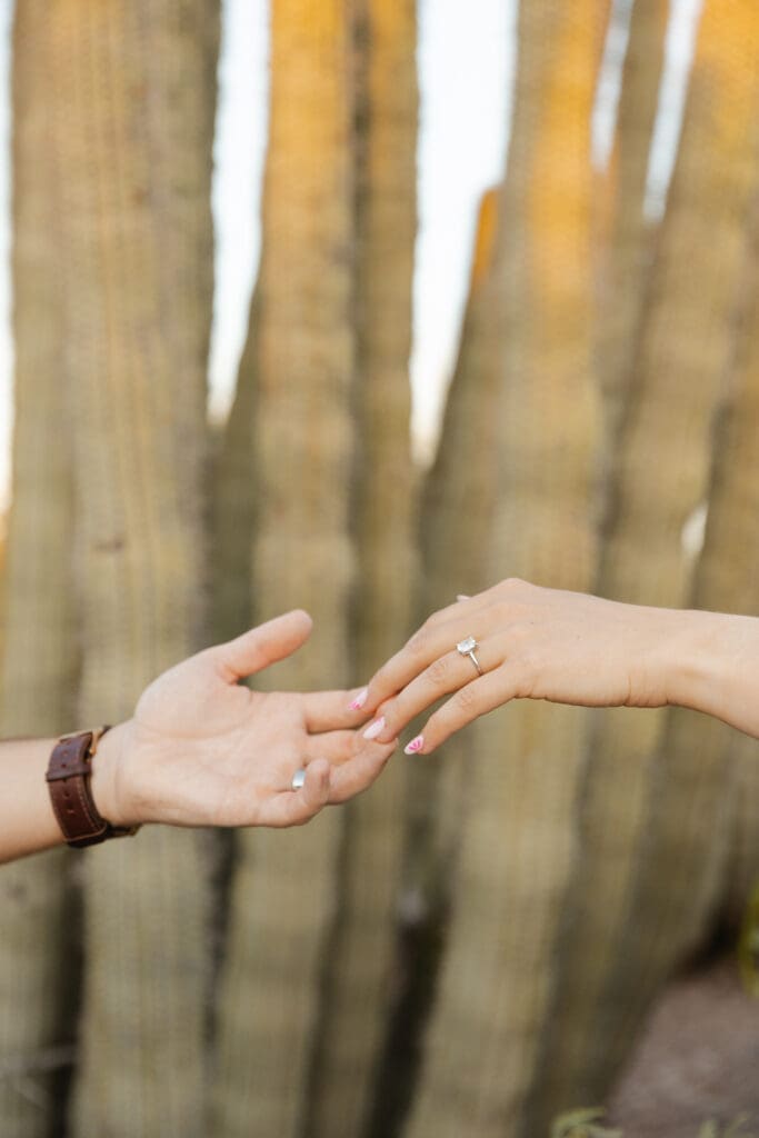 Close up of engagement ring, engagement photo. 